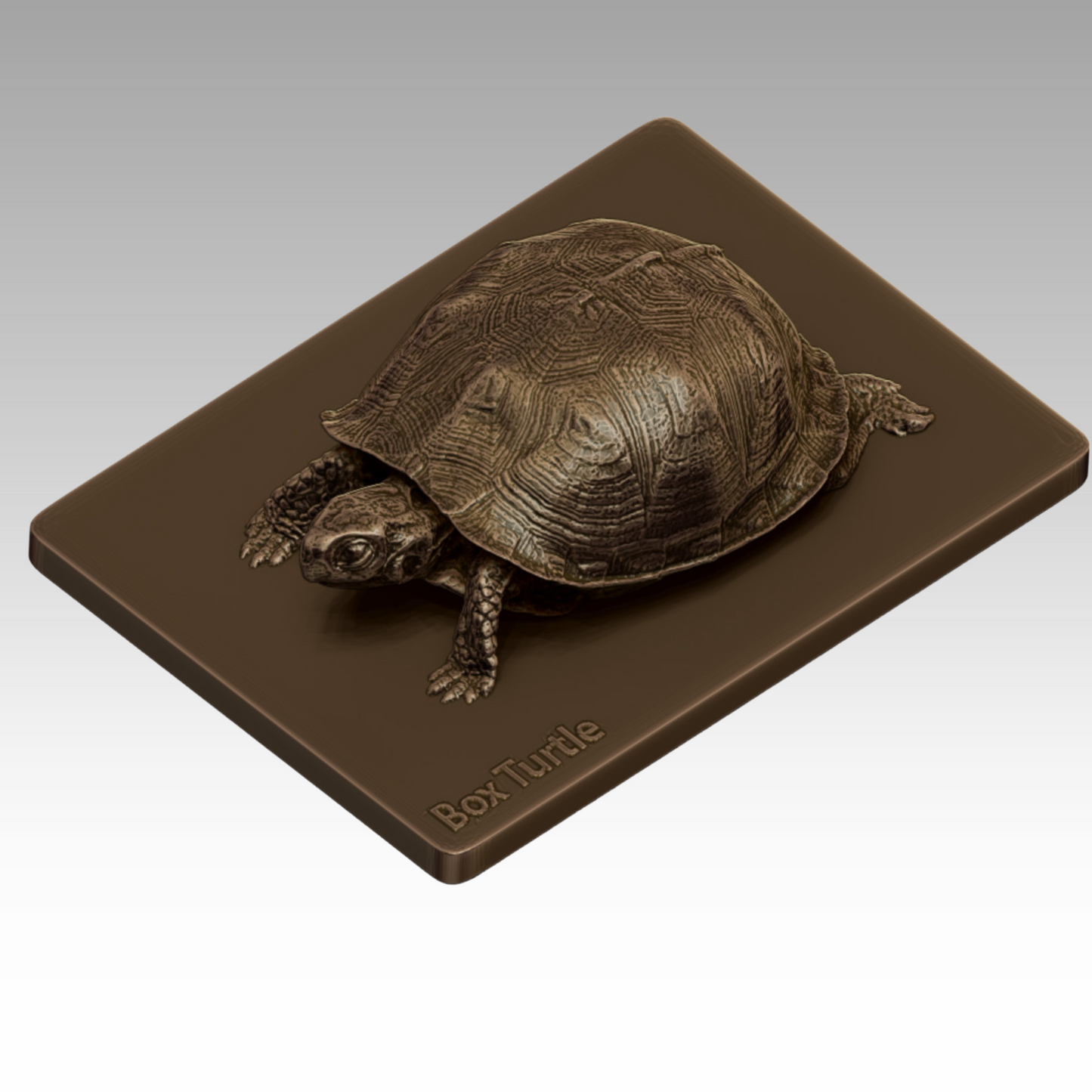 A bronze sculpture of a turtle for educating park visitors about wildlife.