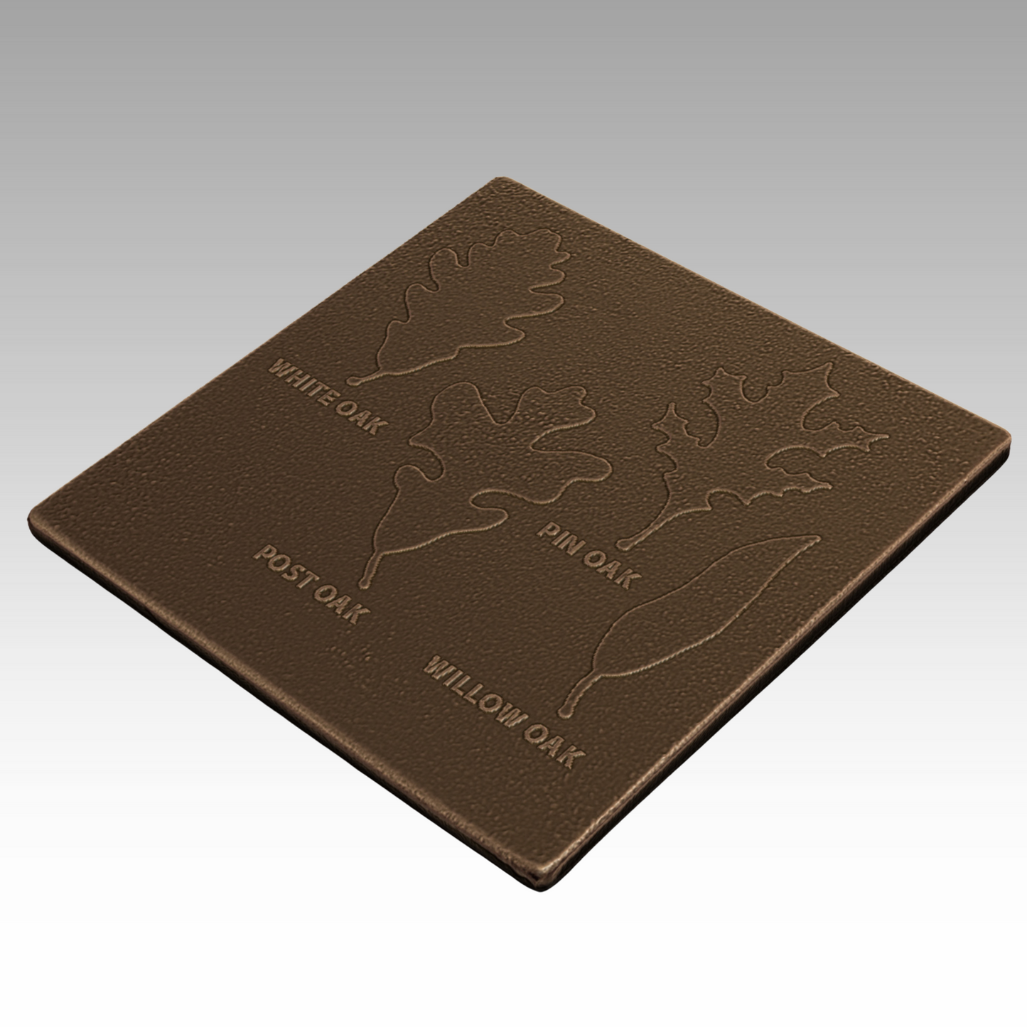 A bronze tactile sculpture showing the distinct leaf shapes of white oak, post oak, pin oak, and willow oak to help visitors compare native tree species through touch.