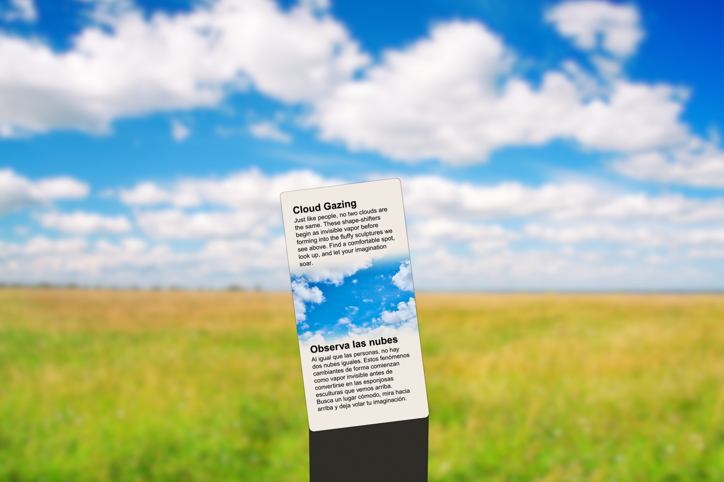 Cloud Gazing
