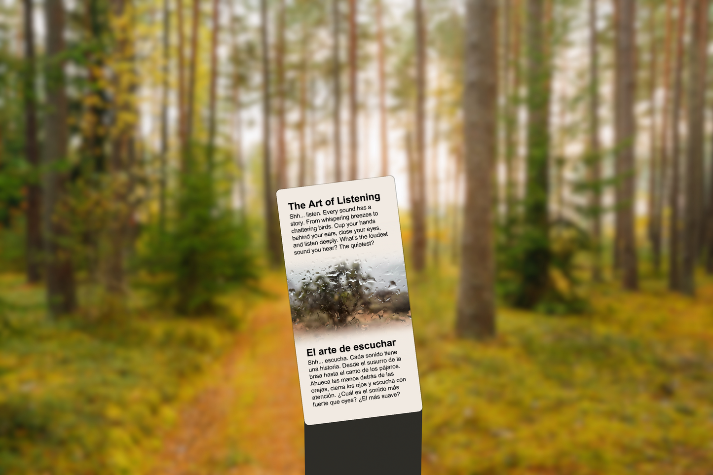 The Art of Listening