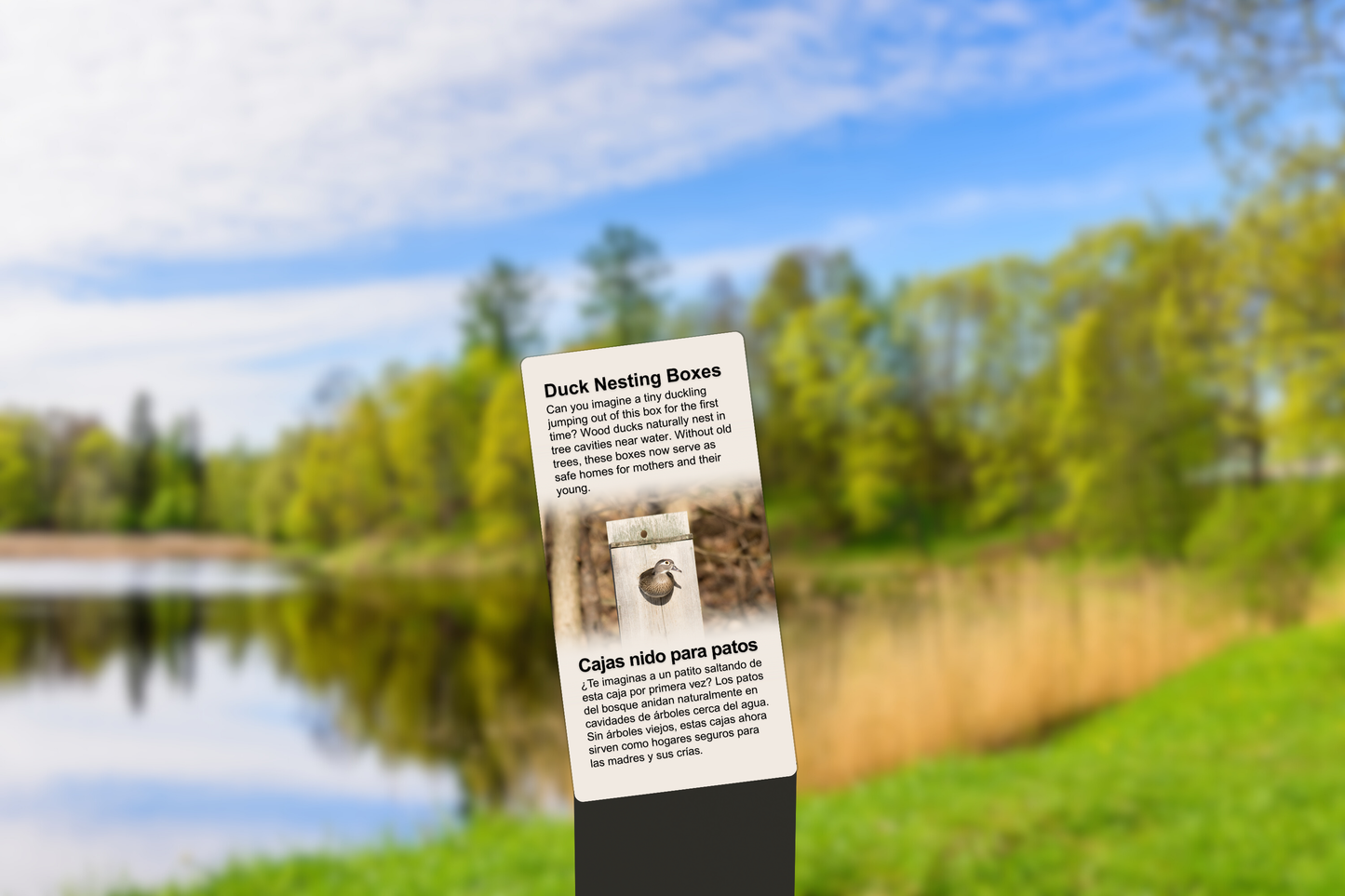 Wood Duck Nesting Boxes