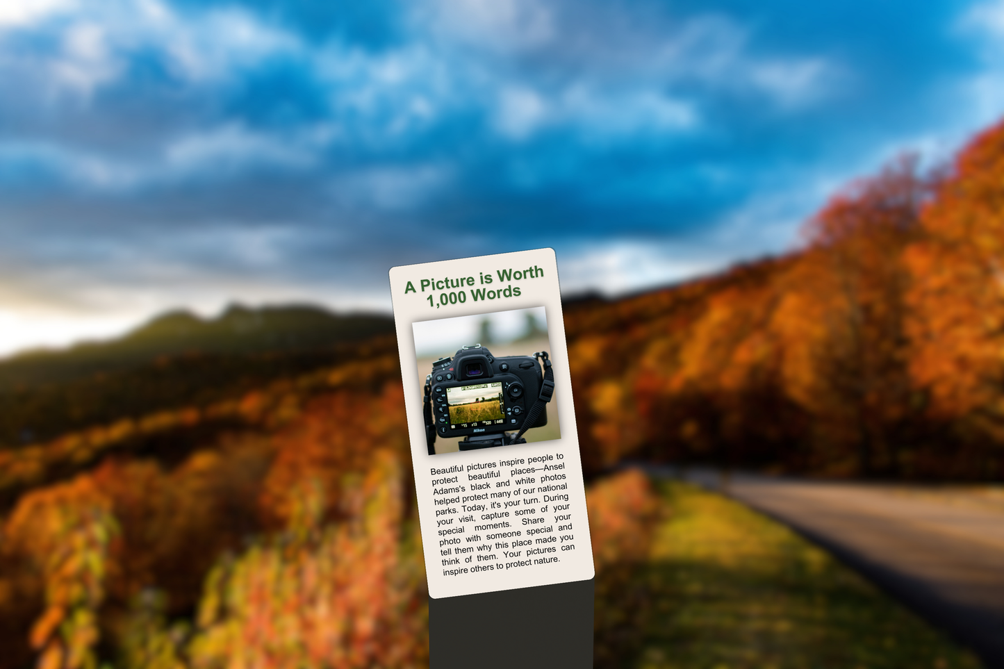 A Picture is Worth 1,000 Words