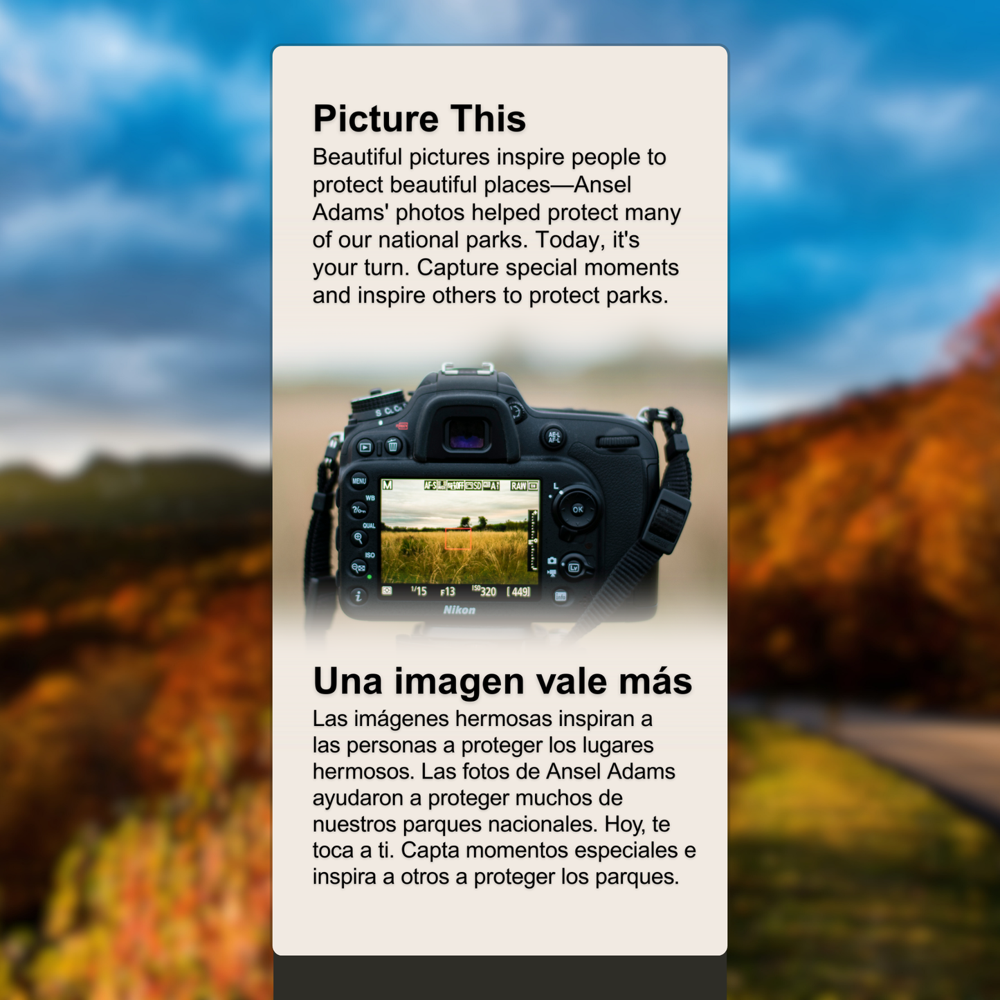 A Picture is Worth 1,000 Words