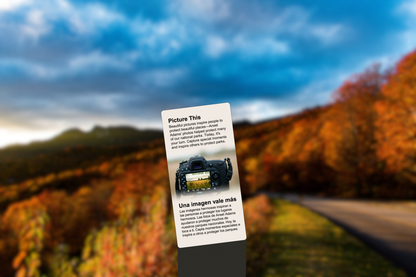 A Picture is Worth 1,000 Words