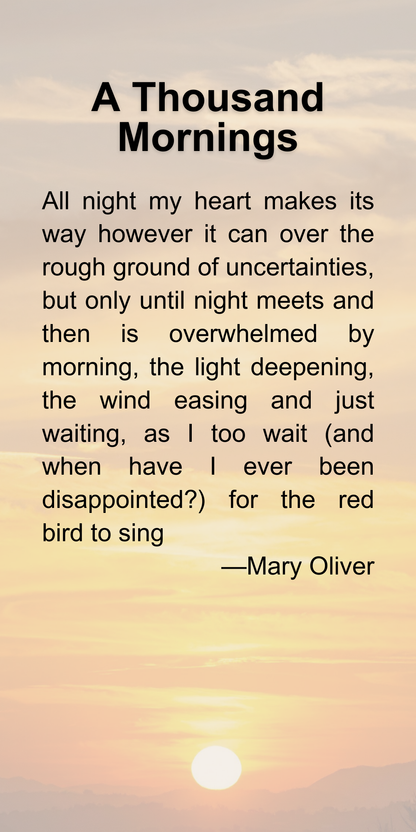 A Thousand Mornings