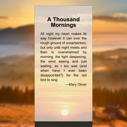 A Thousand Mornings