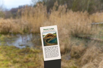 Beaver Lodge