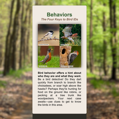 Behaviors