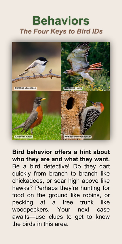 Behaviors