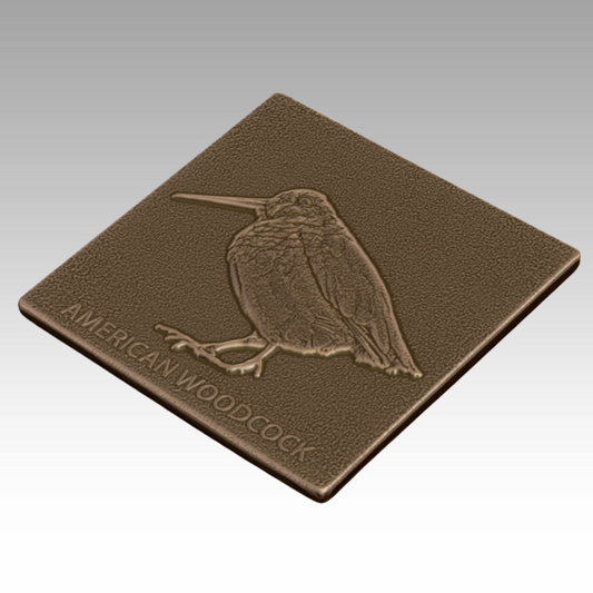 A bronze tactile relief of a woodcock, featuring its long bill and compact body to help visitors learn about ground-dwelling birds through touch.