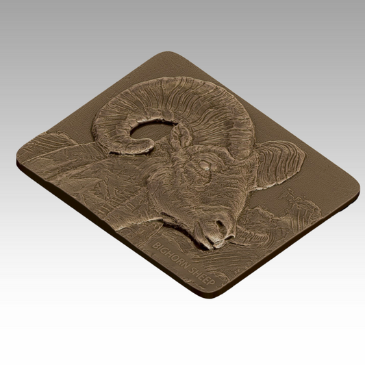 A bronze tactile relief of a bighorn sheep, featuring its curved horns and strong frame to help visitors explore mountain wildlife through touch.