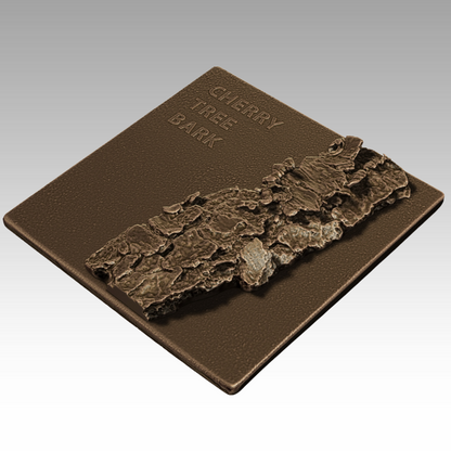 A bronze tactile sculpture of cherry tree bark, showing its smooth texture and horizontal lenticels to help visitors identify native trees by touch.
