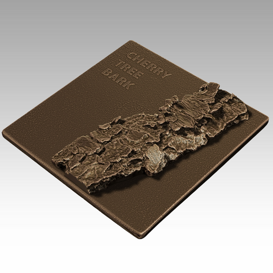 A bronze tactile sculpture of cherry tree bark, showing its smooth texture and horizontal lenticels to help visitors identify native trees by touch.
