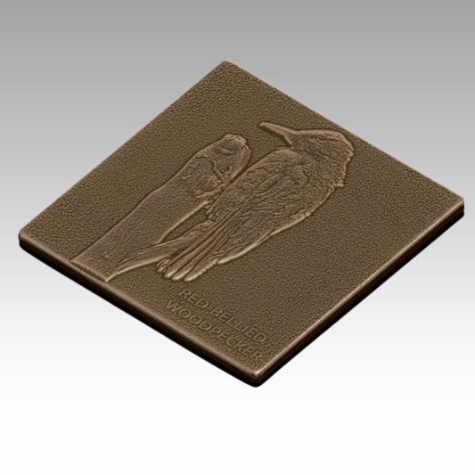 A bronze tactile sculpture of a red-bellied woodpecker, showing its upright stance and strong beak to help visitors explore bird adaptations through touch.
