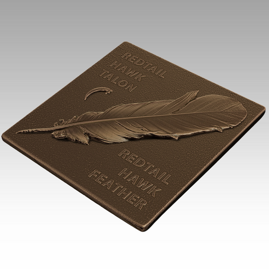 A bronze sculpture of a red-tailed hawk feather and talon for educating park visitors about wildlife.