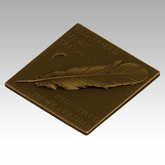 A bronze sculpture of a red-tailed hawk feather and talon for educating park visitors about wildlife.