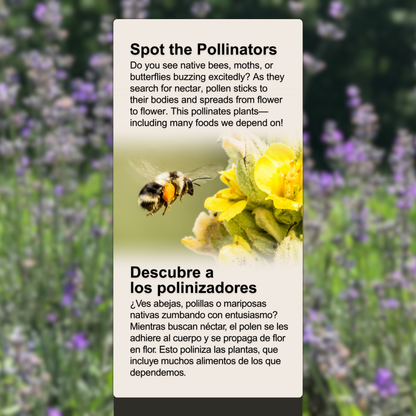 Can You Spot The Pollinators?