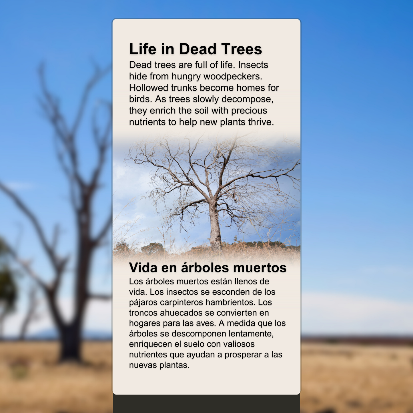 Dead Trees