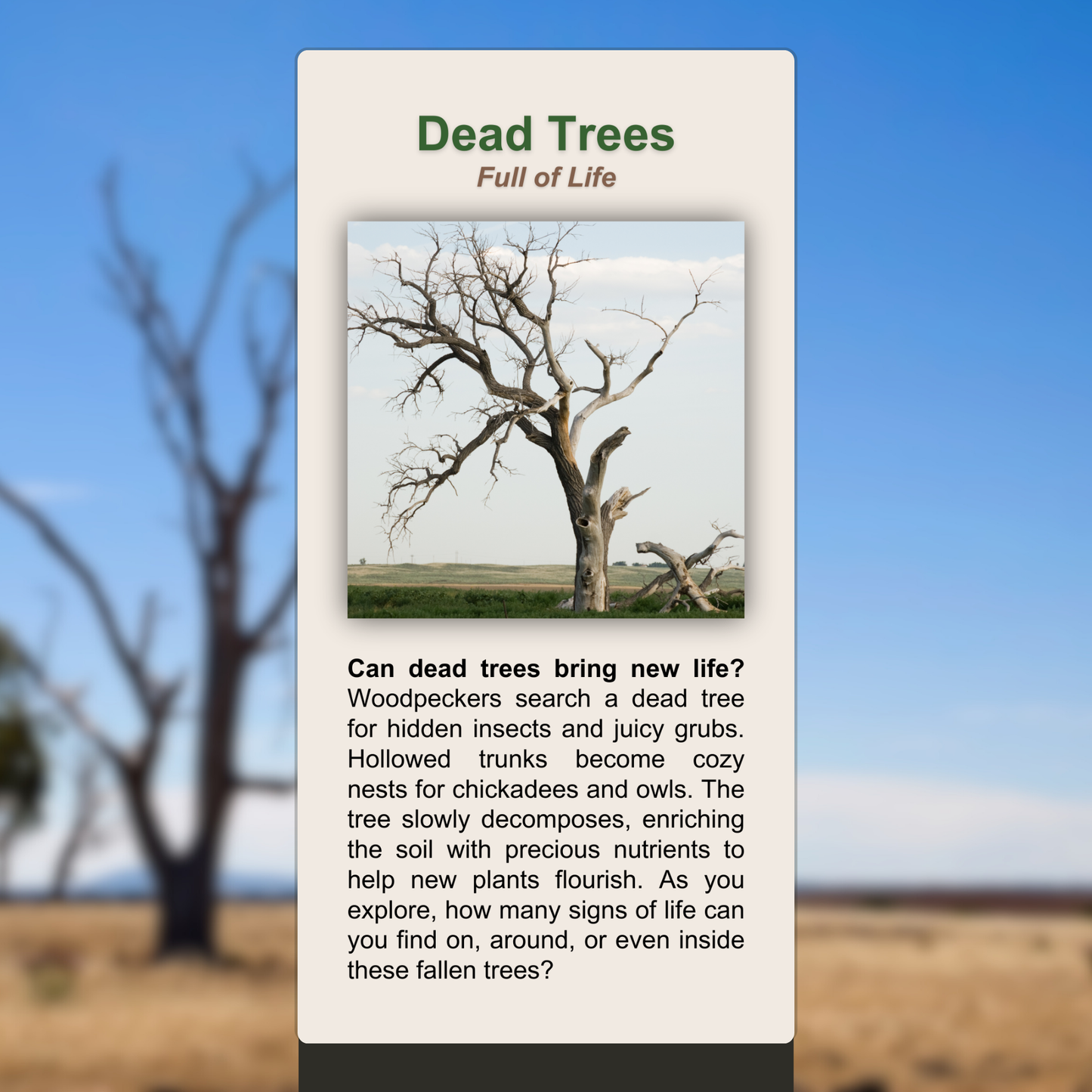 Dead Trees