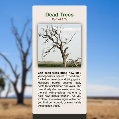 Dead Trees