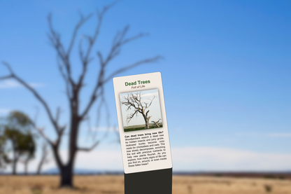 Dead Trees