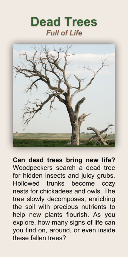 Dead Trees