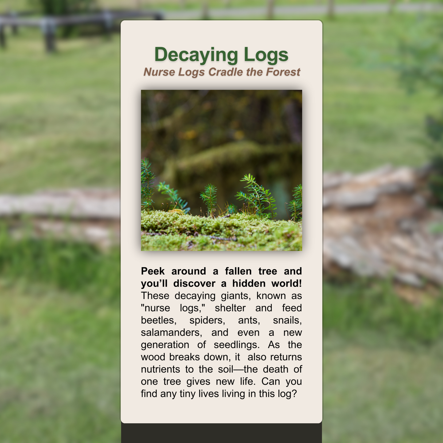 Decaying Logs