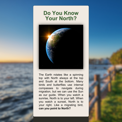 Do You Know Your North?