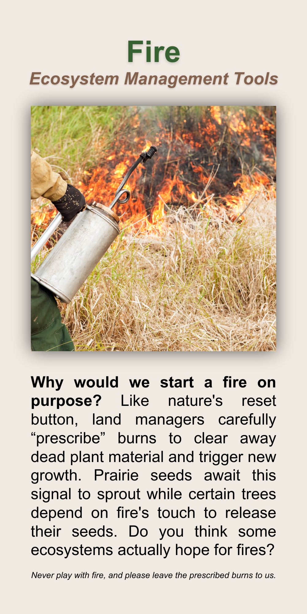 Fire