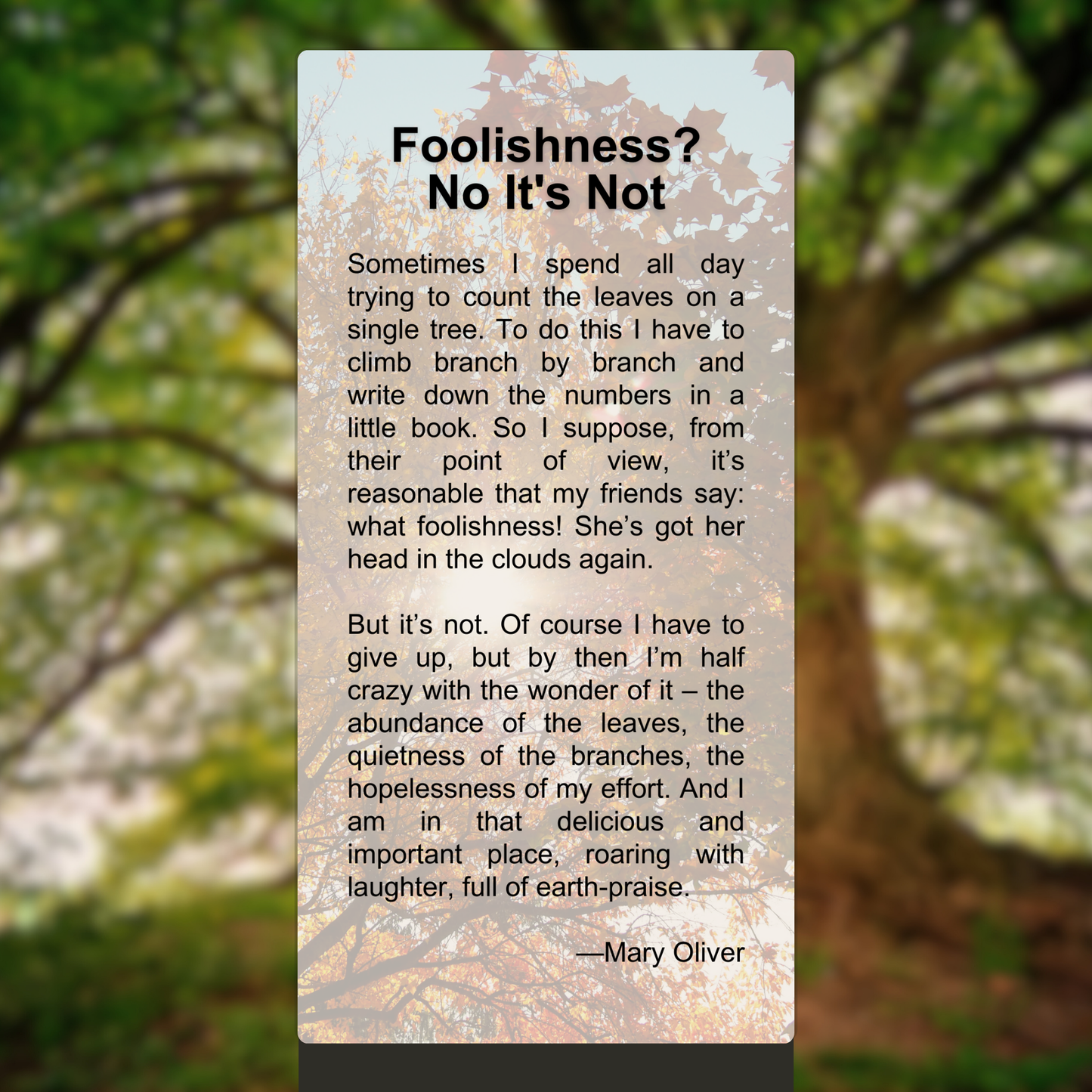 Foolishness? No It's Not