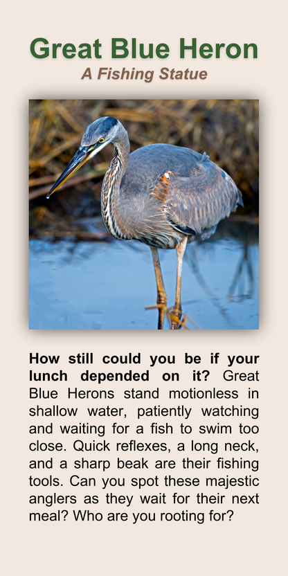 Great Blue Heron