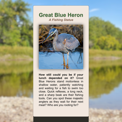 Great Blue Heron