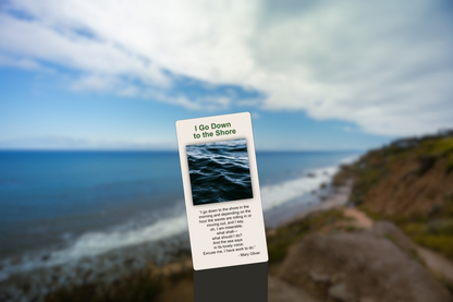 I Go Down to the Shore