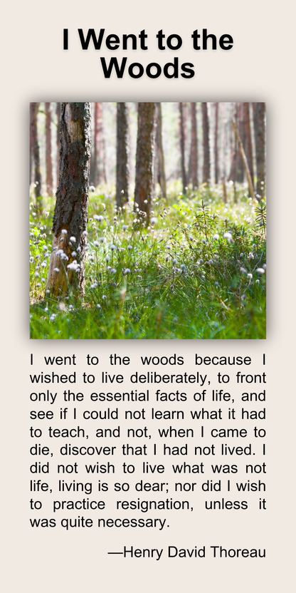 I Went to the Woods
