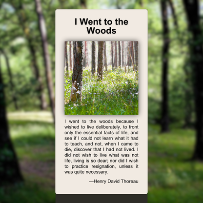 I Went to the Woods