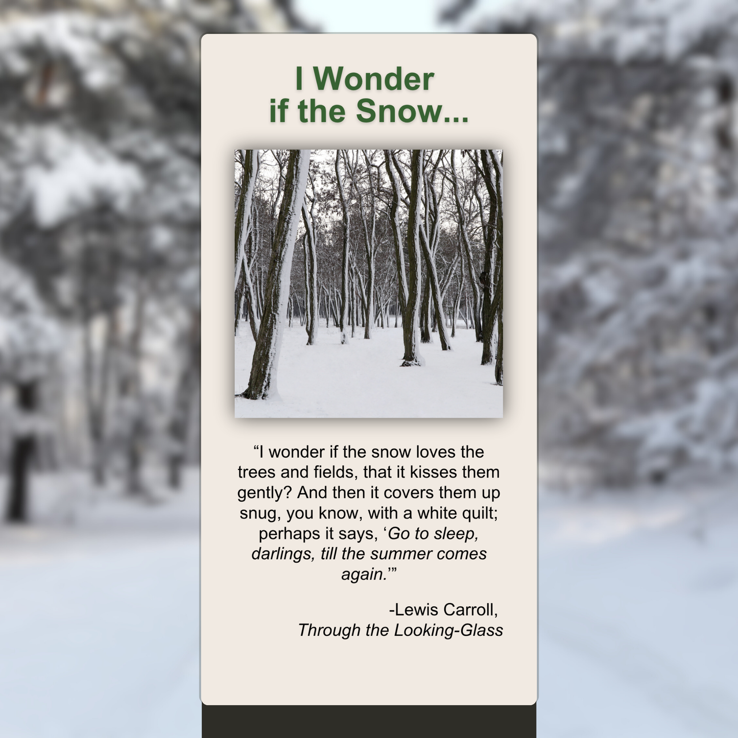 I Wonder if the Snow...