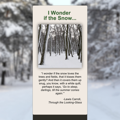 I Wonder if the Snow...