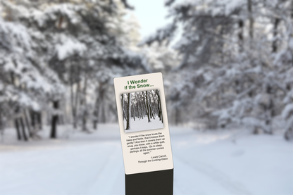 I Wonder if the Snow...