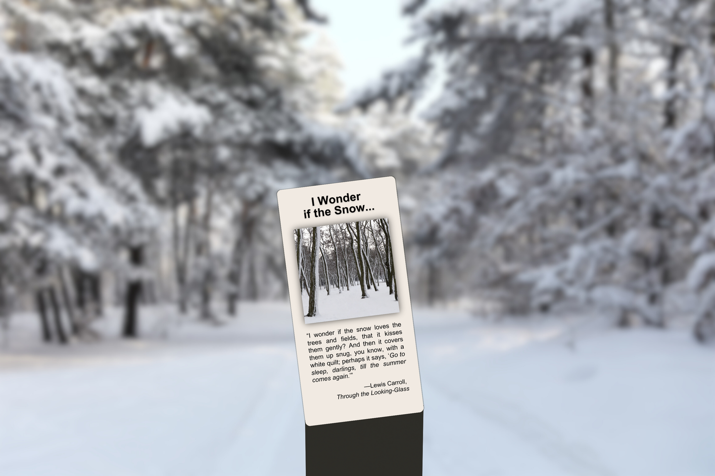 I Wonder if the Snow...