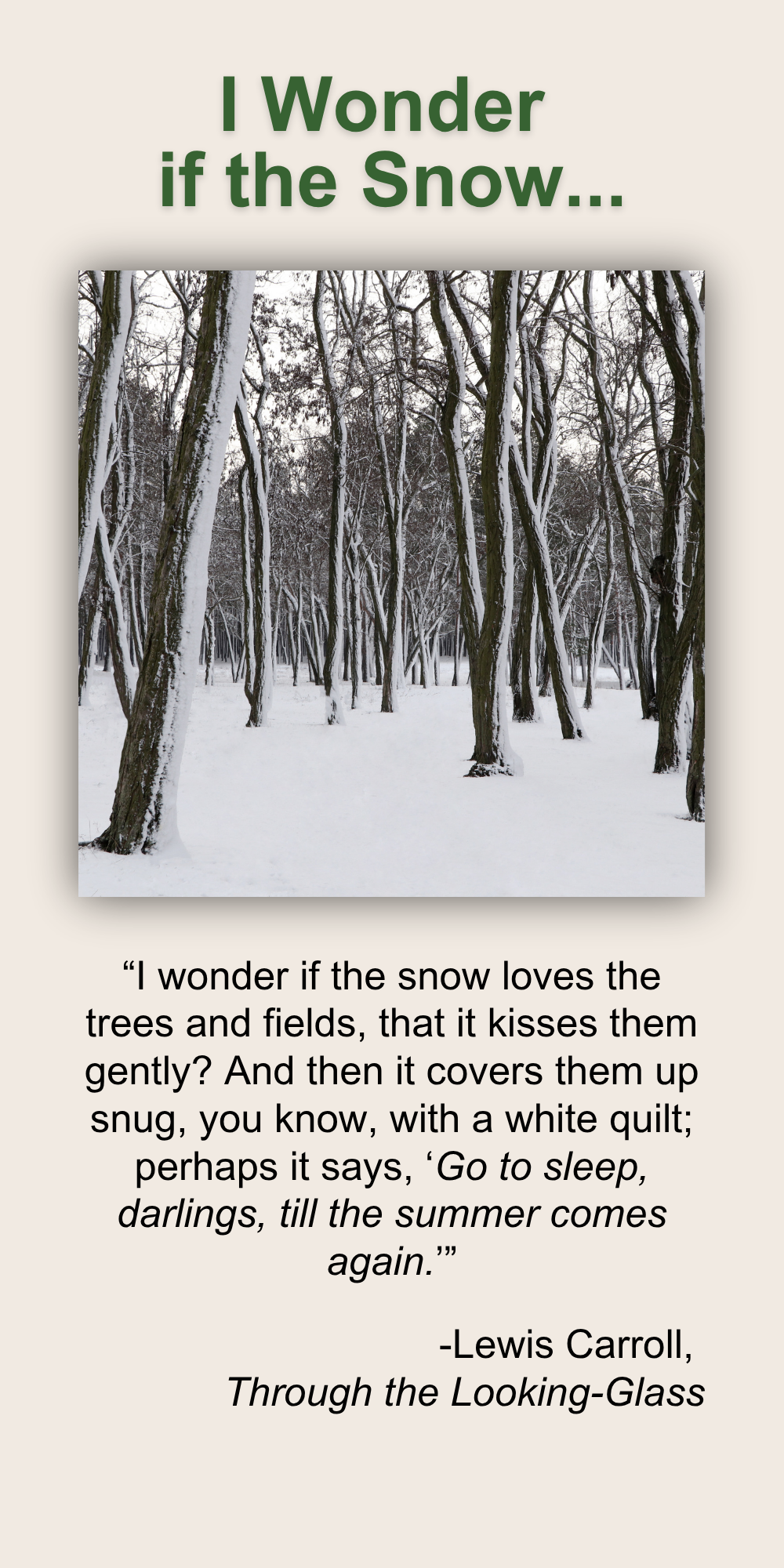 I Wonder if the Snow...