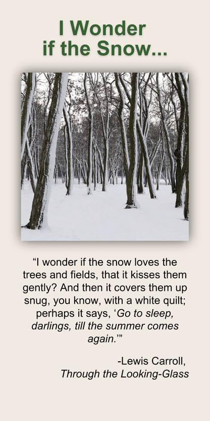 I Wonder if the Snow...