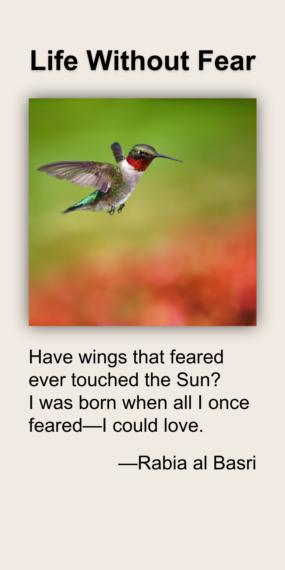 Life Without Fear