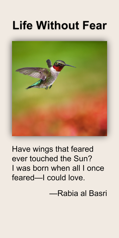 Life Without Fear
