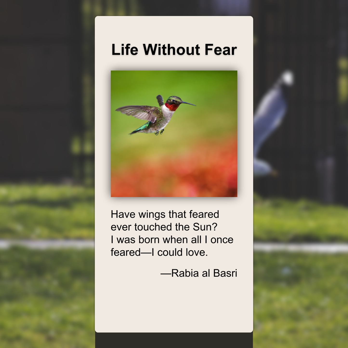 Life Without Fear