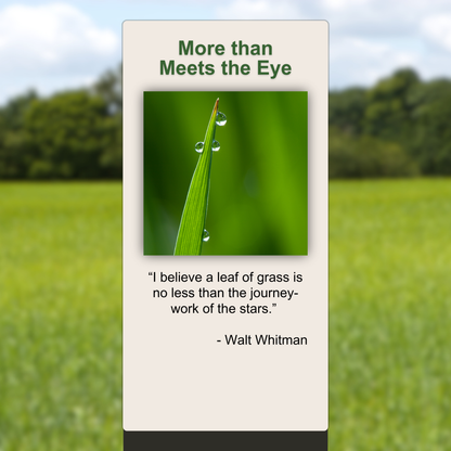 More than Meets the Eye