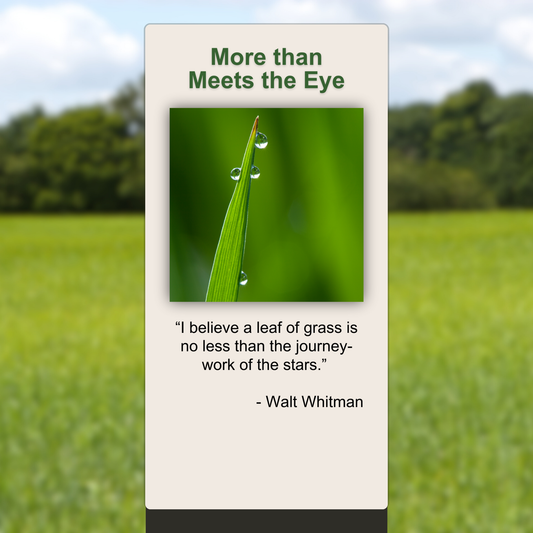 More than Meets the Eye