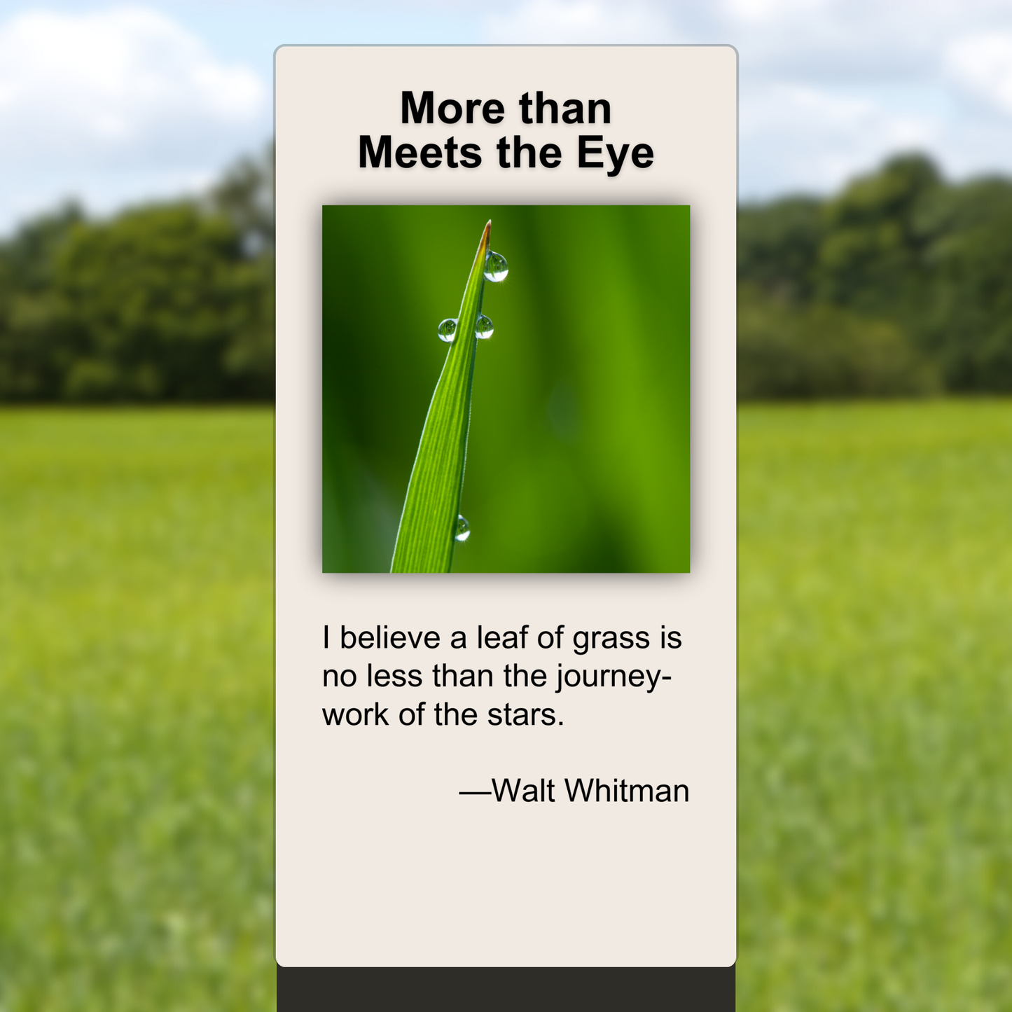 More than Meets the Eye