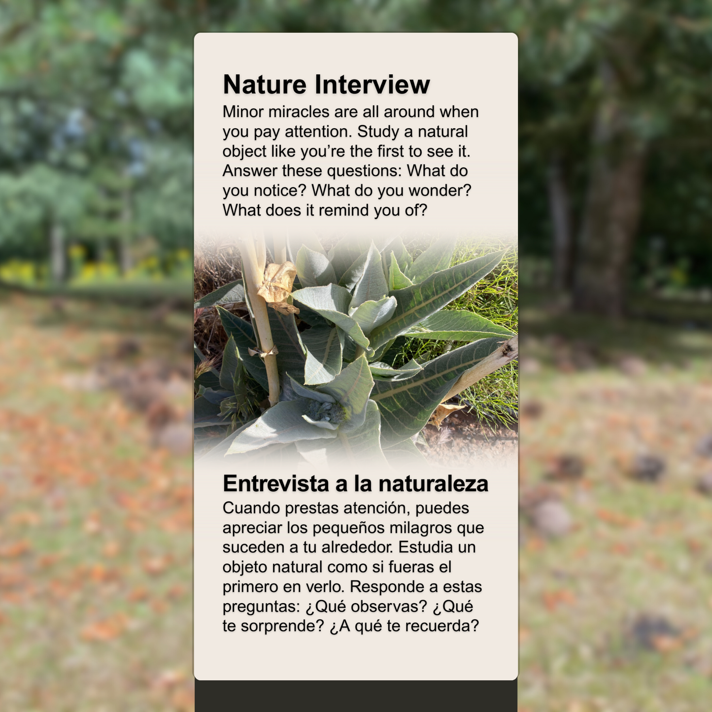 Nature Interview