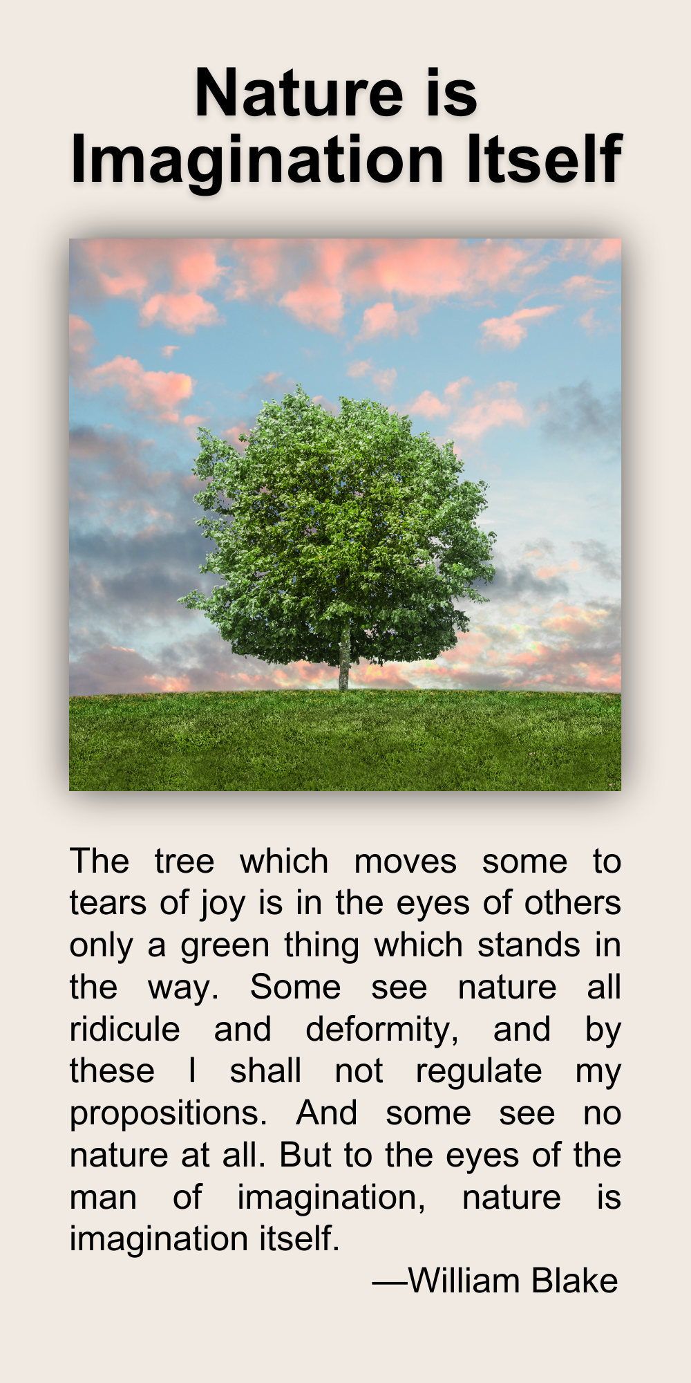 Nature is Imagination Itself