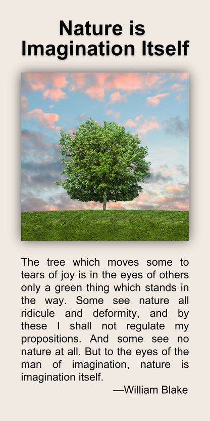 Nature is Imagination Itself